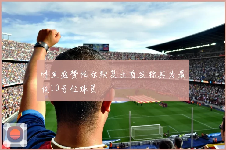 特里盛赞帕尔默复出首发称其为最佳10号位球员