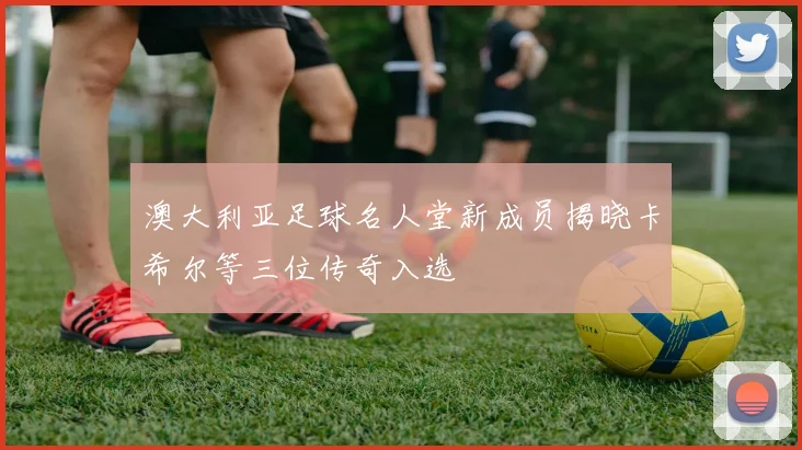 澳大利亚足球名人堂新成员揭晓卡希尔等三位传奇入选